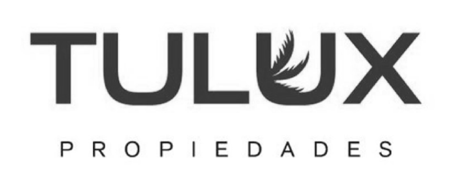 Logo inmobiliaria Tulux